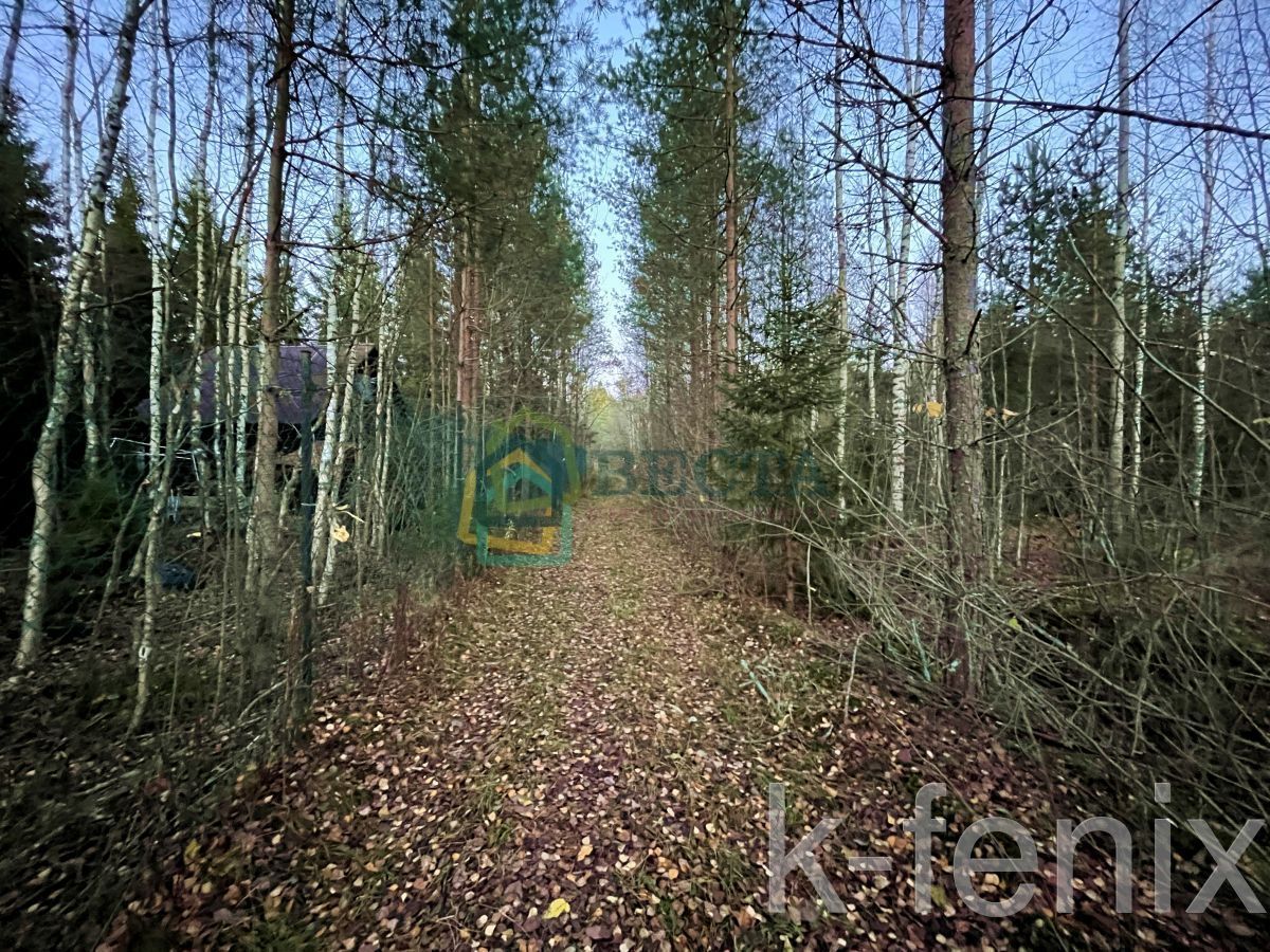участок 18 сот